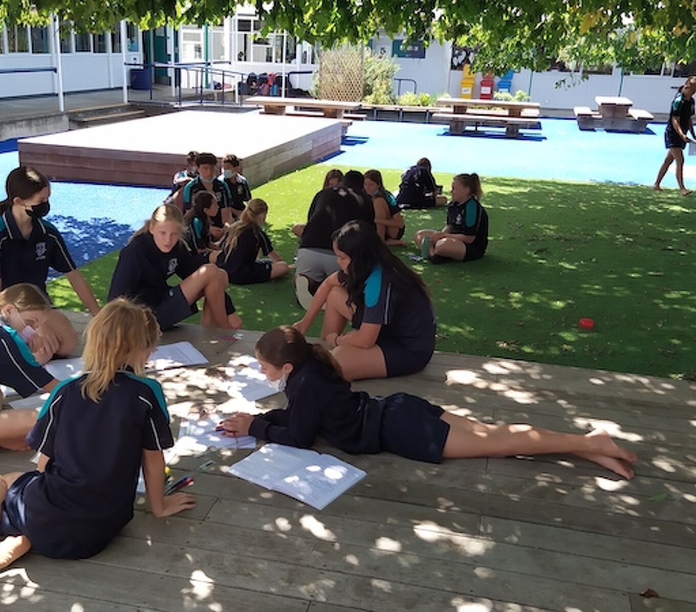 Students Studying Under a Tree