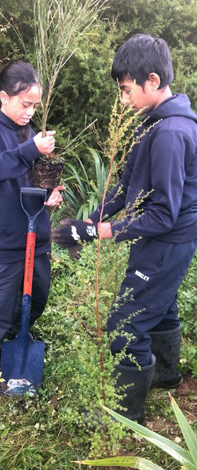 Two Students Plant a Seedling Together